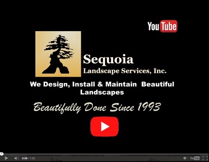 sequoia landscaping services